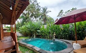 D'Ethnic Ubud Villa